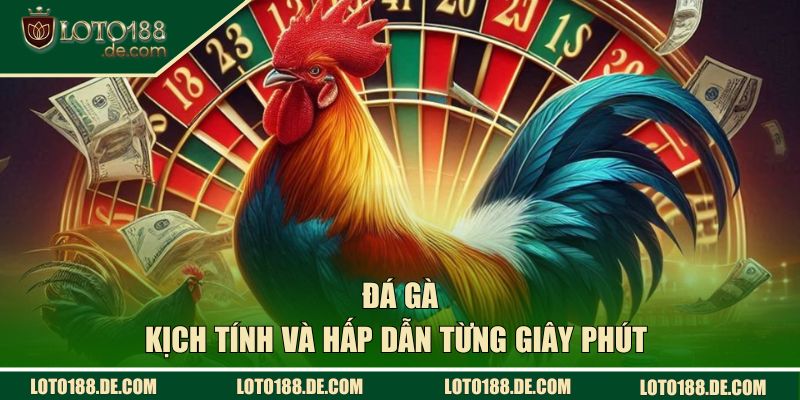 Đá gà